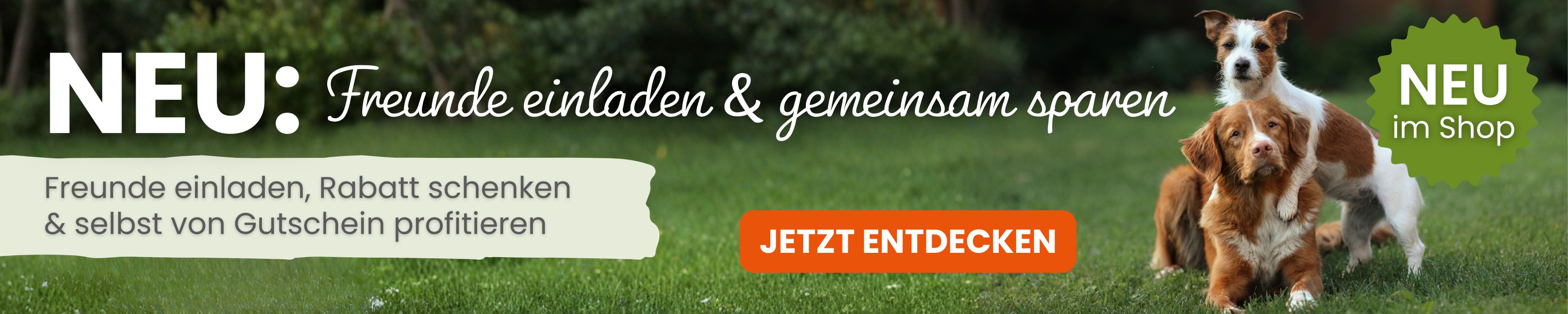 Header Website Kauartikel B2C-freunde-werben.jpg